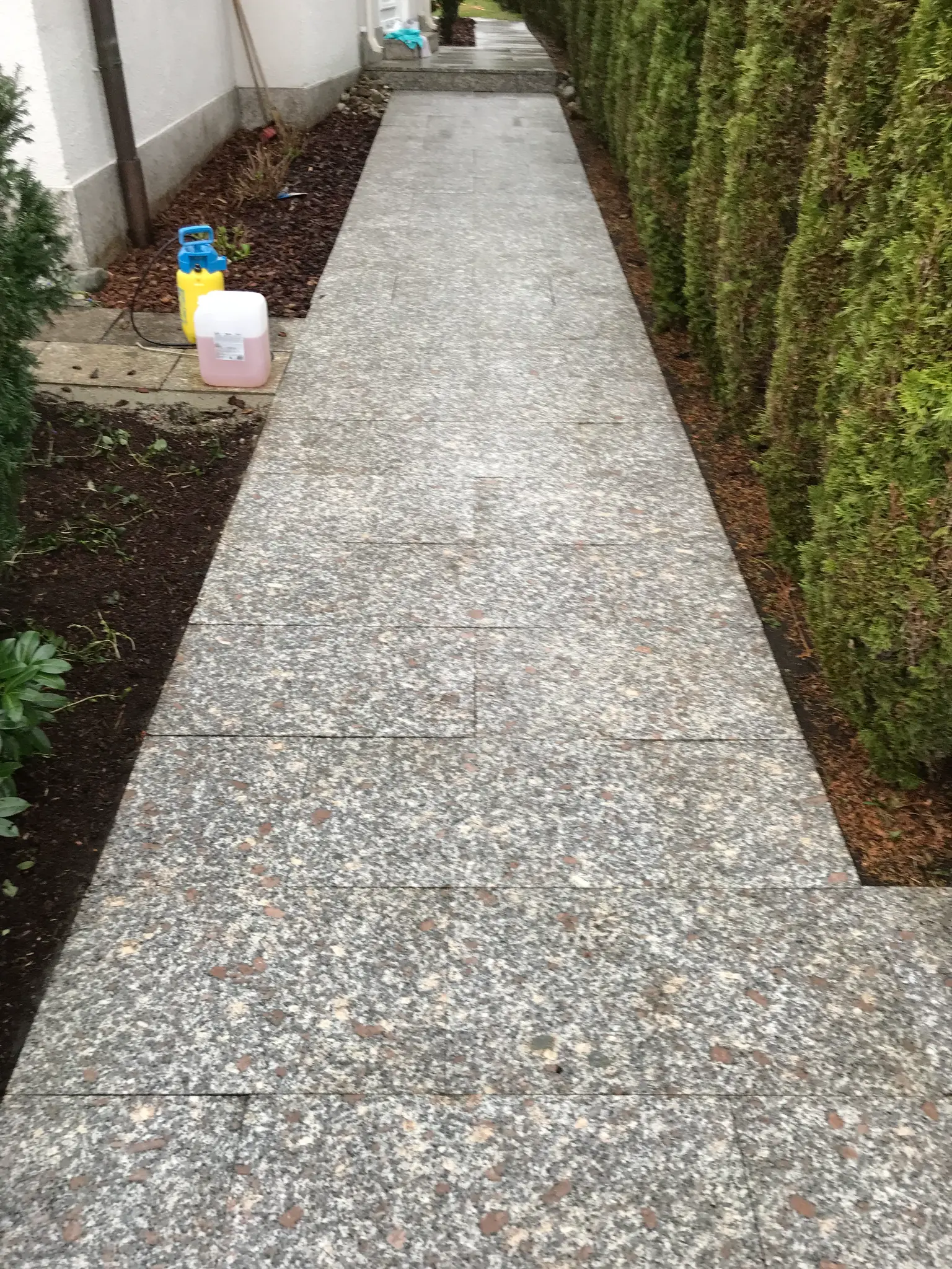 Gehweg nach professioneller Reinigung