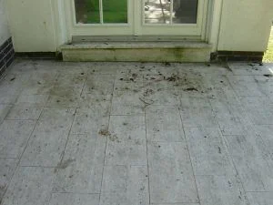 Terrasse vorher - verschmutzte Steinplatten