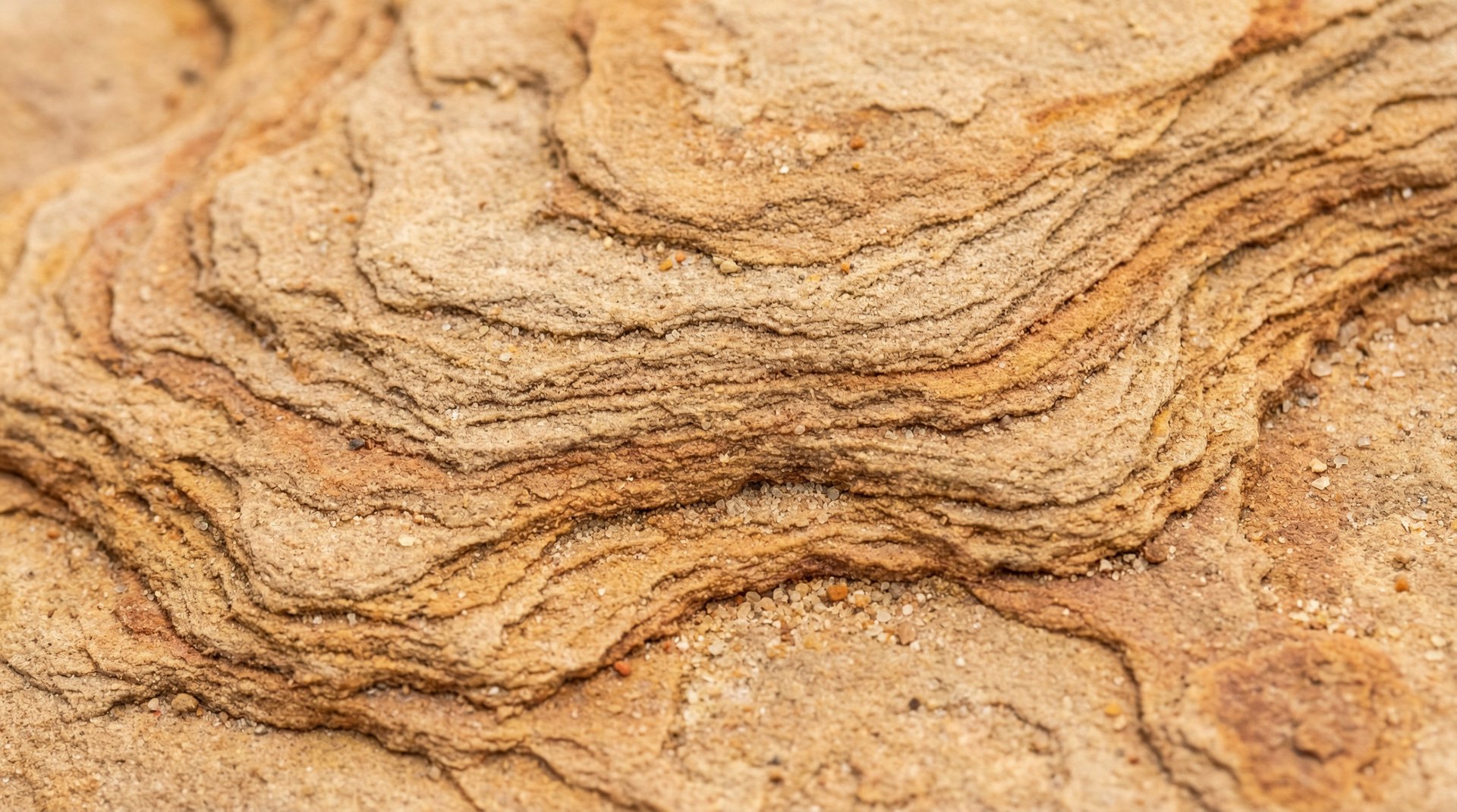 Sandstein reinigen und pflegen